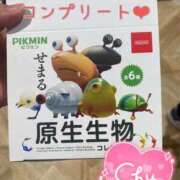 ヒメ日記 2025/08/06 21:40 投稿 つむぎ 横浜人妻花壇本店