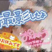 ヒメ日記 2025/11/20 06:57 投稿 つむぎ 横浜人妻花壇本店