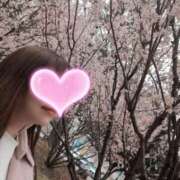 ヒメ日記 2026/03/20 10:41 投稿 ゆりな 横浜人妻花壇本店