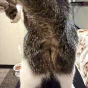 ヒメ日記 2026/01/15 19:25 投稿 マドギワ スッキリ商事