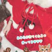 ヒメ日記 2024/12/24 21:00 投稿 れお クラブアリア -CLUB ARIA-