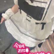 ヒメ日記 2025/11/11 22:04 投稿 れお クラブアリア -CLUB ARIA-