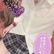 ヒメ日記 2026/01/19 21:35 投稿 れお クラブアリア -CLUB ARIA-