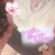 ヒメ日記 2026/04/07 21:04 投稿 れお クラブアリア -CLUB ARIA-