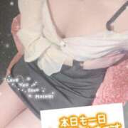 ヒメ日記 2026/04/30 20:01 投稿 れお クラブアリア -CLUB ARIA-
