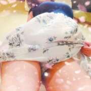 ヒメ日記 2026/07/01 18:17 投稿 双海しいか Oasis(薬研堀)