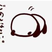 ヒメ日記 2025/01/24 12:53 投稿 ゆきえ 熟女家 堺東店