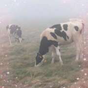 ヒメ日記 2025/10/07 12:12 投稿 光凛 高崎人妻城