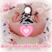 ヒメ日記 2025/10/20 10:19 投稿 光凛 高崎人妻城