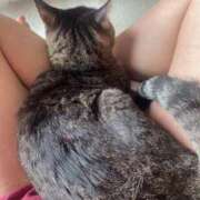 ヒメ日記 2025/01/05 08:14 投稿 いずみ・5月17日入店 みやこ