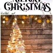 ヒメ日記 2025/12/24 08:18 投稿 いずみ・5月17日入店 みやこ