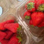 ヒメ日記 2025/04/13 04:28 投稿 ひより タレント倶楽部プレミアム