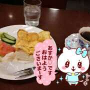 ヒメ日記 2025/12/13 10:17 投稿 飛鳥 Bell.Madonna（ベルマドンナ）