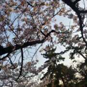 ヒメ日記 2026/04/05 17:34 投稿 飛鳥 LA BELLA（ラベーラ）