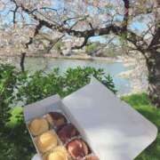ヒメ日記 2026/04/08 15:34 投稿 飛鳥 LA BELLA（ラベーラ）