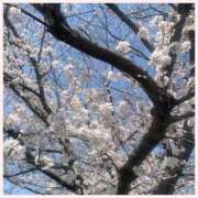 ヒメ日記 2025/04/07 16:35 投稿 相楽つばさ 彩タマンサ（埼玉ハレ系）