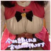 ヒメ日記 2025/04/23 08:17 投稿 相楽つばさ 彩タマンサ（埼玉ハレ系）