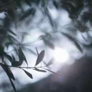 ヒメ日記 2025/02/05 21:53 投稿 美弥子(みやこ) 人妻出逢い会 百合の園 池袋店