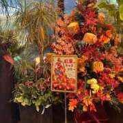 ヒメ日記 2025/10/06 15:53 投稿 美弥子(みやこ) 人妻出逢い会 百合の園 池袋店