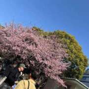 ヒメ日記 2026/03/01 17:23 投稿 美弥子(みやこ) 人妻出逢い会 百合の園 池袋店