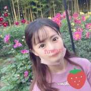 ヒメ日記 2025/04/09 04:25 投稿 フワリ ルパン