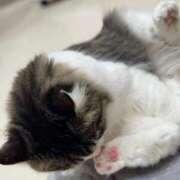 ヒメ日記 2025/08/05 16:22 投稿 のあ 妹系イメージSOAP萌えフードル学園 大宮本校