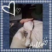 ヒメ日記 2024/12/07 09:36 投稿 大原ナース[看護副主任] 病院