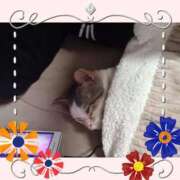 ヒメ日記 2024/12/21 09:46 投稿 大原ナース[看護副主任] 病院