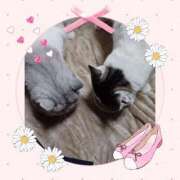 ヒメ日記 2024/12/24 17:26 投稿 大原ナース[看護副主任] 病院