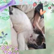 ヒメ日記 2024/12/26 09:36 投稿 大原ナース[看護副主任] 病院