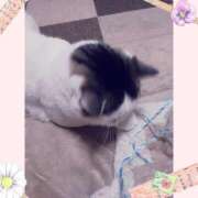 ヒメ日記 2024/12/29 20:46 投稿 大原ナース[看護副主任] 病院