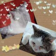 ヒメ日記 2024/12/31 14:16 投稿 大原ナース[看護副主任] 病院