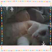 ヒメ日記 2025/01/06 09:56 投稿 大原ナース[看護副主任] 病院