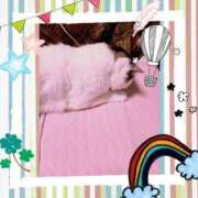 ヒメ日記 2025/01/16 09:46 投稿 大原ナース[看護副主任] 病院