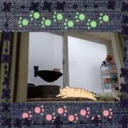 ヒメ日記 2025/01/26 09:54 投稿 大原ナース[看護副主任] 病院