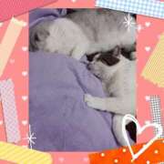 ヒメ日記 2025/01/27 09:52 投稿 大原ナース[看護副主任] 病院