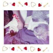 ヒメ日記 2025/02/22 09:55 投稿 大原ナース[看護副主任] 病院