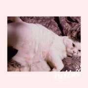 ヒメ日記 2025/03/09 09:39 投稿 大原ナース[看護副主任] 病院