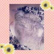 ヒメ日記 2025/03/16 09:36 投稿 大原ナース[看護副主任] 病院