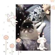 ヒメ日記 2025/03/18 10:06 投稿 大原ナース[看護副主任] 病院