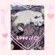 ヒメ日記 2025/03/24 09:56 投稿 大原ナース[看護副主任] 病院