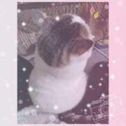 ヒメ日記 2025/03/31 09:56 投稿 大原ナース[看護副主任] 病院