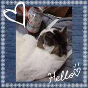 ヒメ日記 2025/04/01 19:26 投稿 大原ナース[看護副主任] 病院