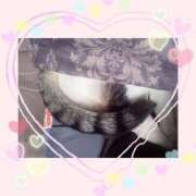 ヒメ日記 2025/04/06 09:46 投稿 大原ナース[看護副主任] 病院