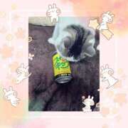 ヒメ日記 2025/04/08 09:56 投稿 大原ナース[看護副主任] 病院