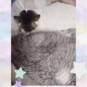 ヒメ日記 2025/04/09 09:53 投稿 大原ナース[看護副主任] 病院