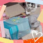 ヒメ日記 2025/04/12 09:56 投稿 大原ナース[看護副主任] 病院