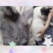 ヒメ日記 2025/04/17 09:46 投稿 大原ナース[看護副主任] 病院