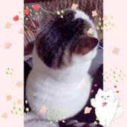 ヒメ日記 2025/04/23 09:56 投稿 大原ナース[看護副主任] 病院