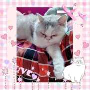 ヒメ日記 2025/04/28 09:46 投稿 大原ナース[看護副主任] 病院